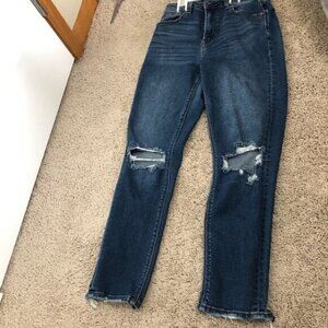 Women's American Eagle size two  Distressed Mom Jeans